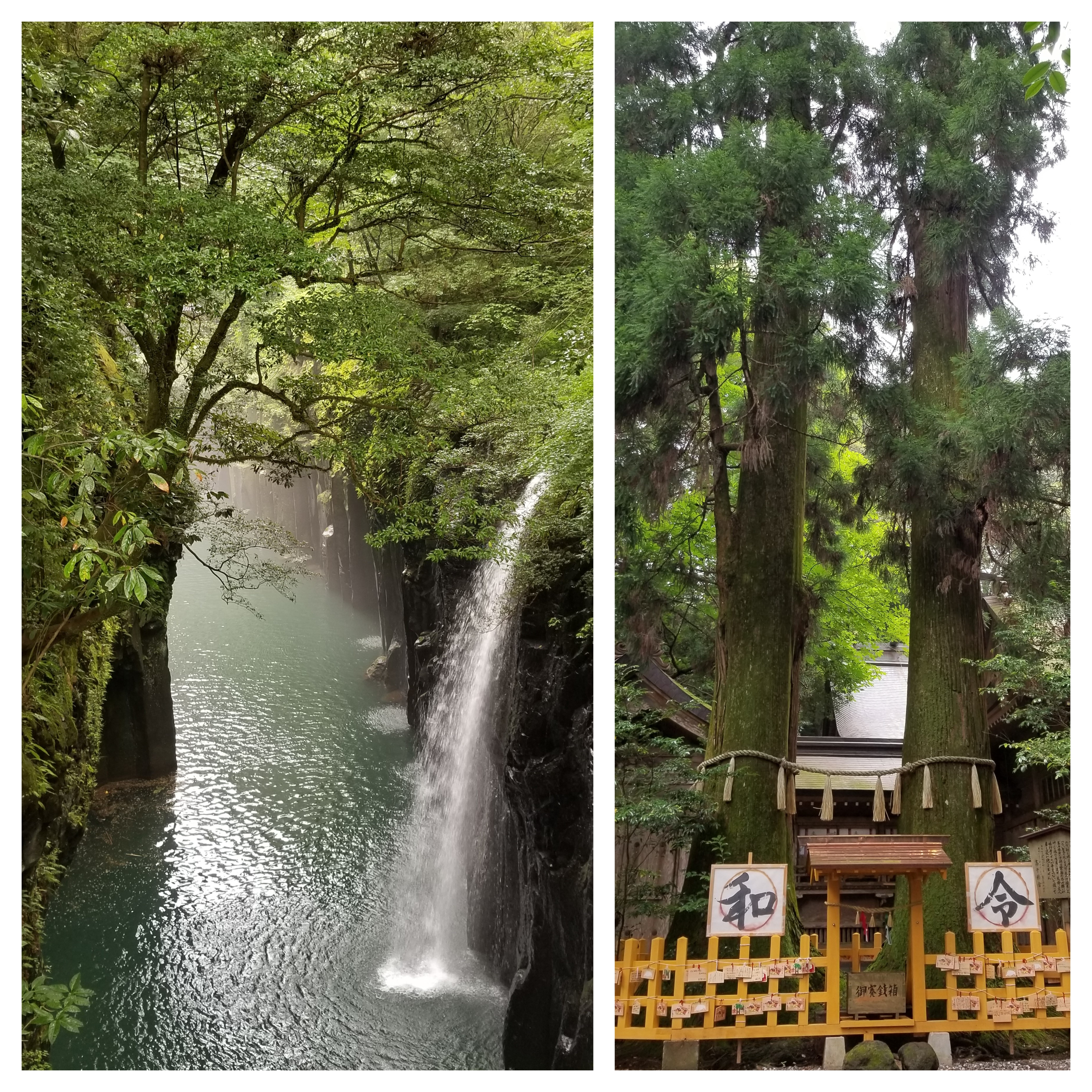 写真2
