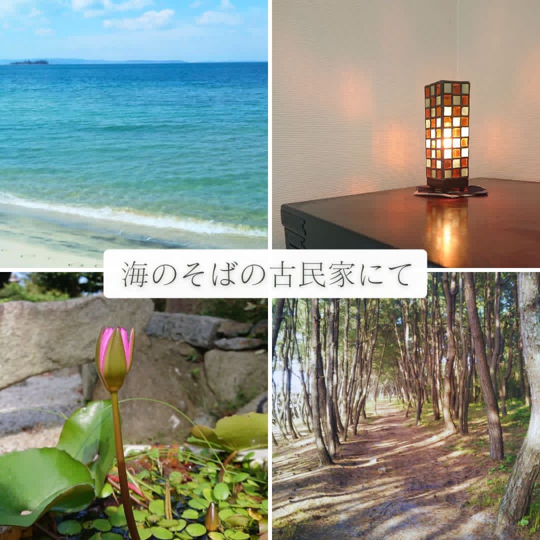 写真2