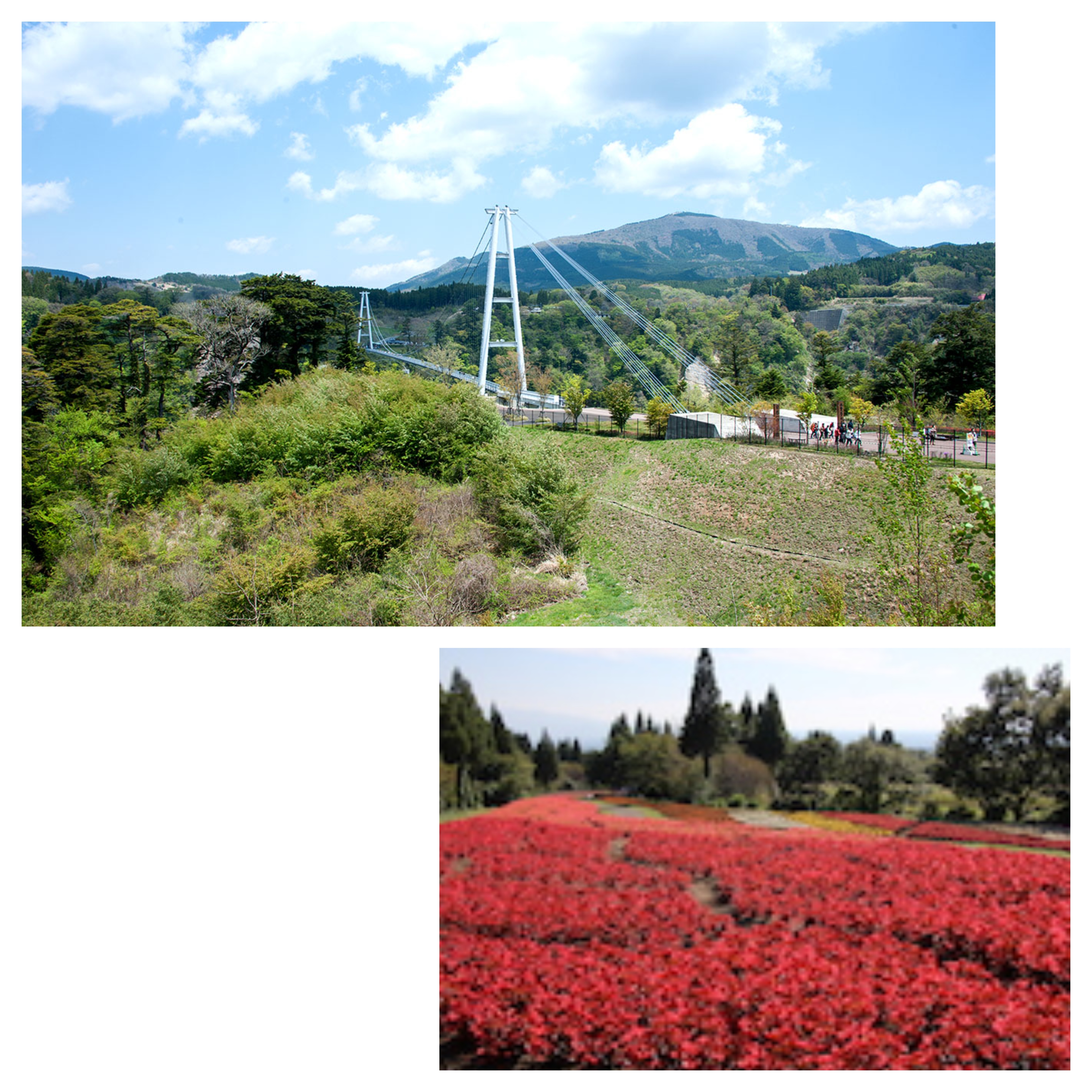 写真2