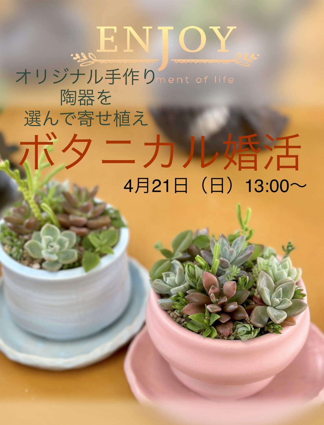 写真1